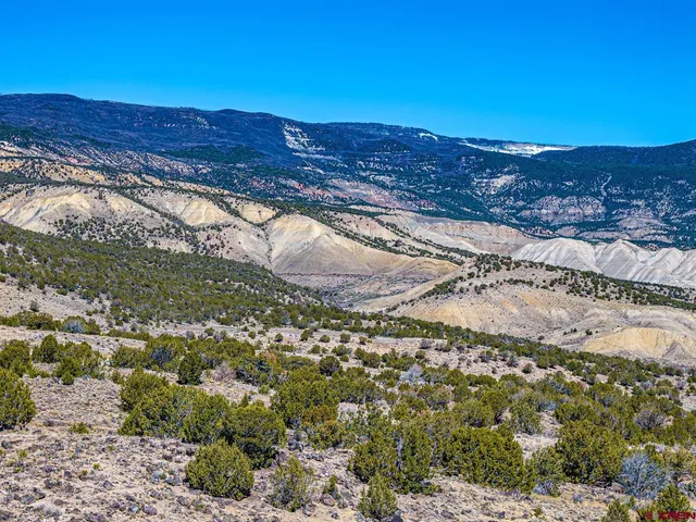 a view of a dry yard with mountain and trees