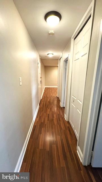 8601 Manchester Road, Unit 310 Silver Spring, MD 20901 - Photo 16 of 24