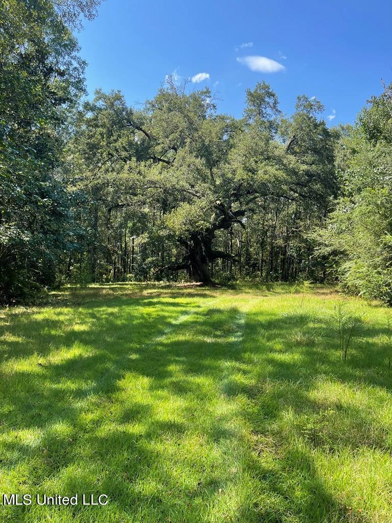 land view