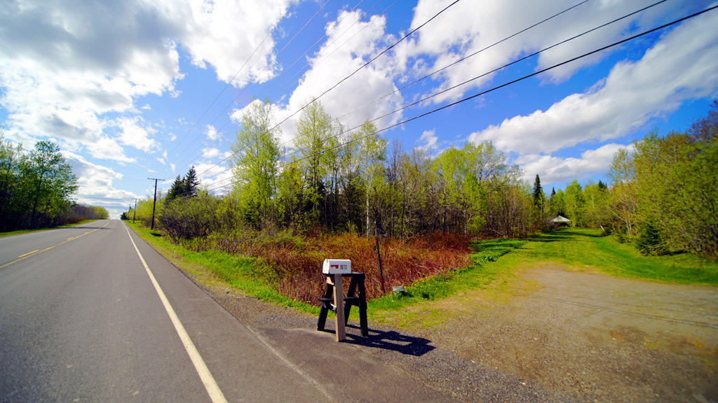 Lot 29-30 County Road New Limerick, ME 04761 - Photo 9 of 16 land-botting-new-limerick-5