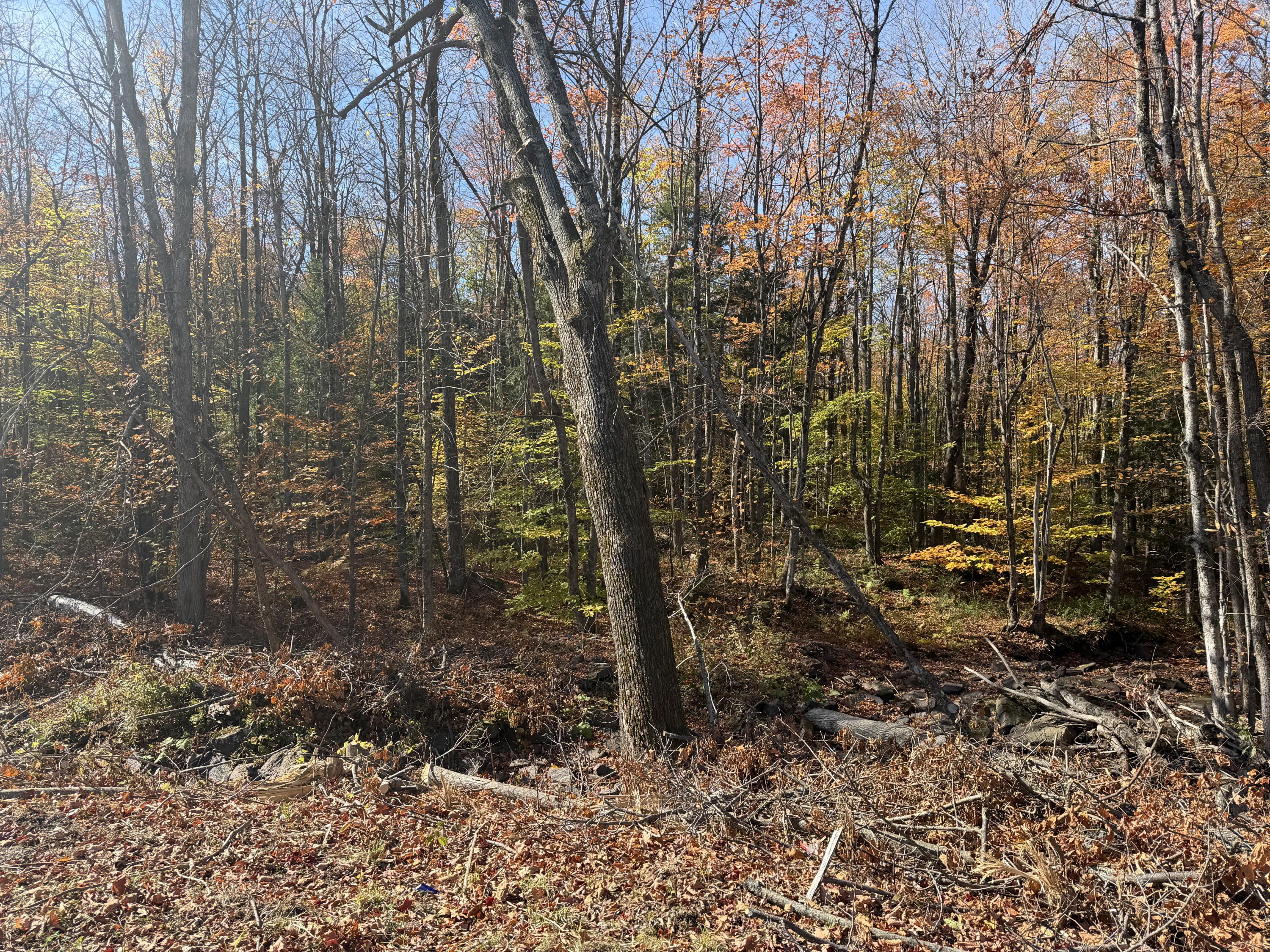 0 Rand Hill Road Morrisonville, NY 12962 - Photo 9 of 10