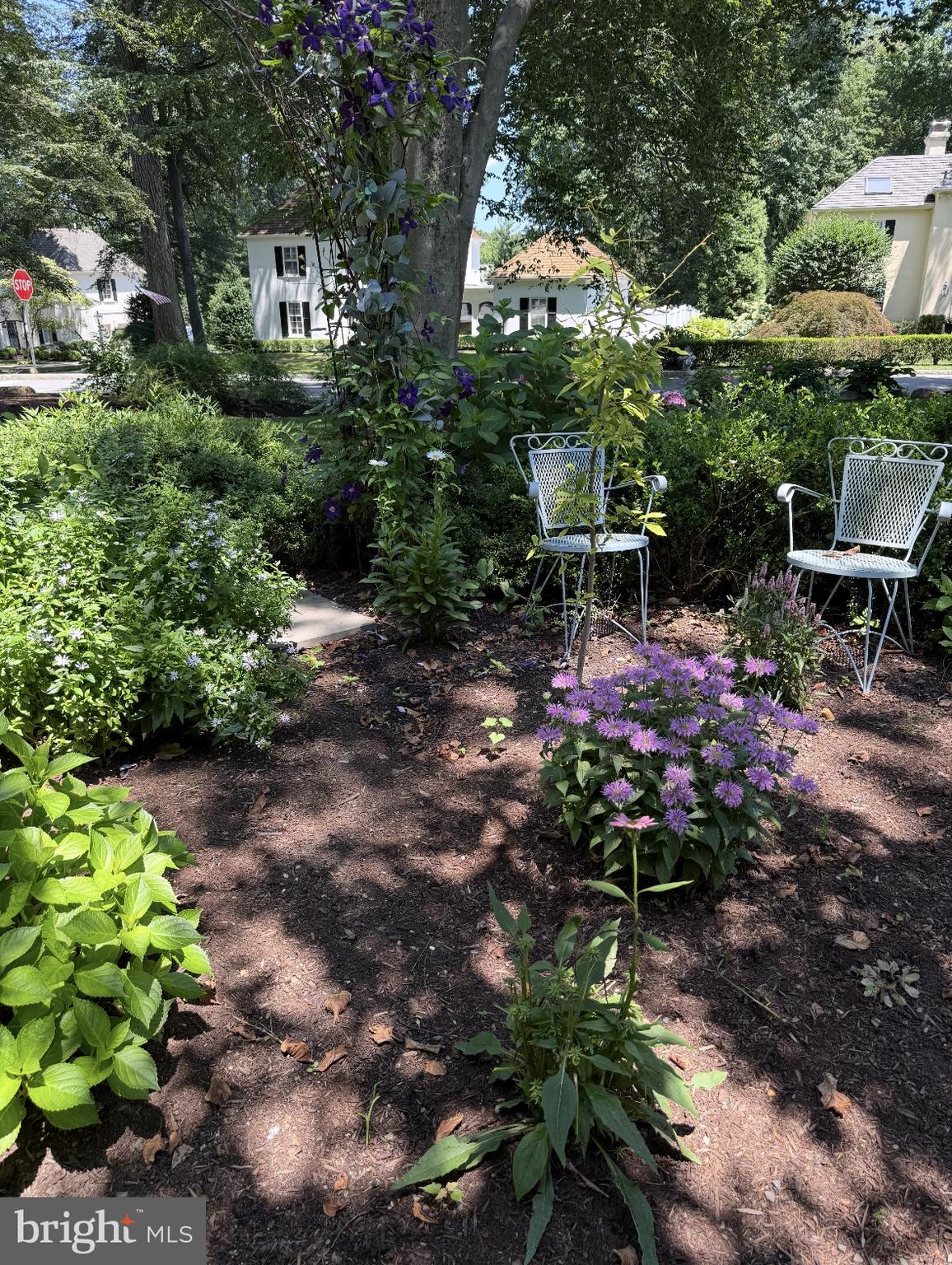 300 Valley Place Wayne, PA 19087 - Photo 51 of 53 Landscaping in Summer.