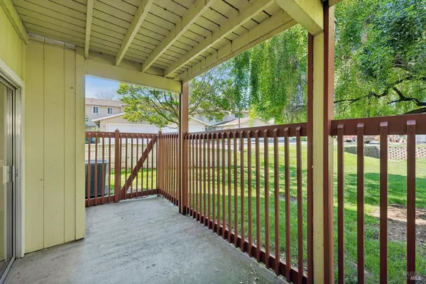 a view of a backyard with a large trees
