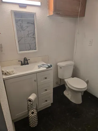 a bathroom with a toilet a sink and mirror