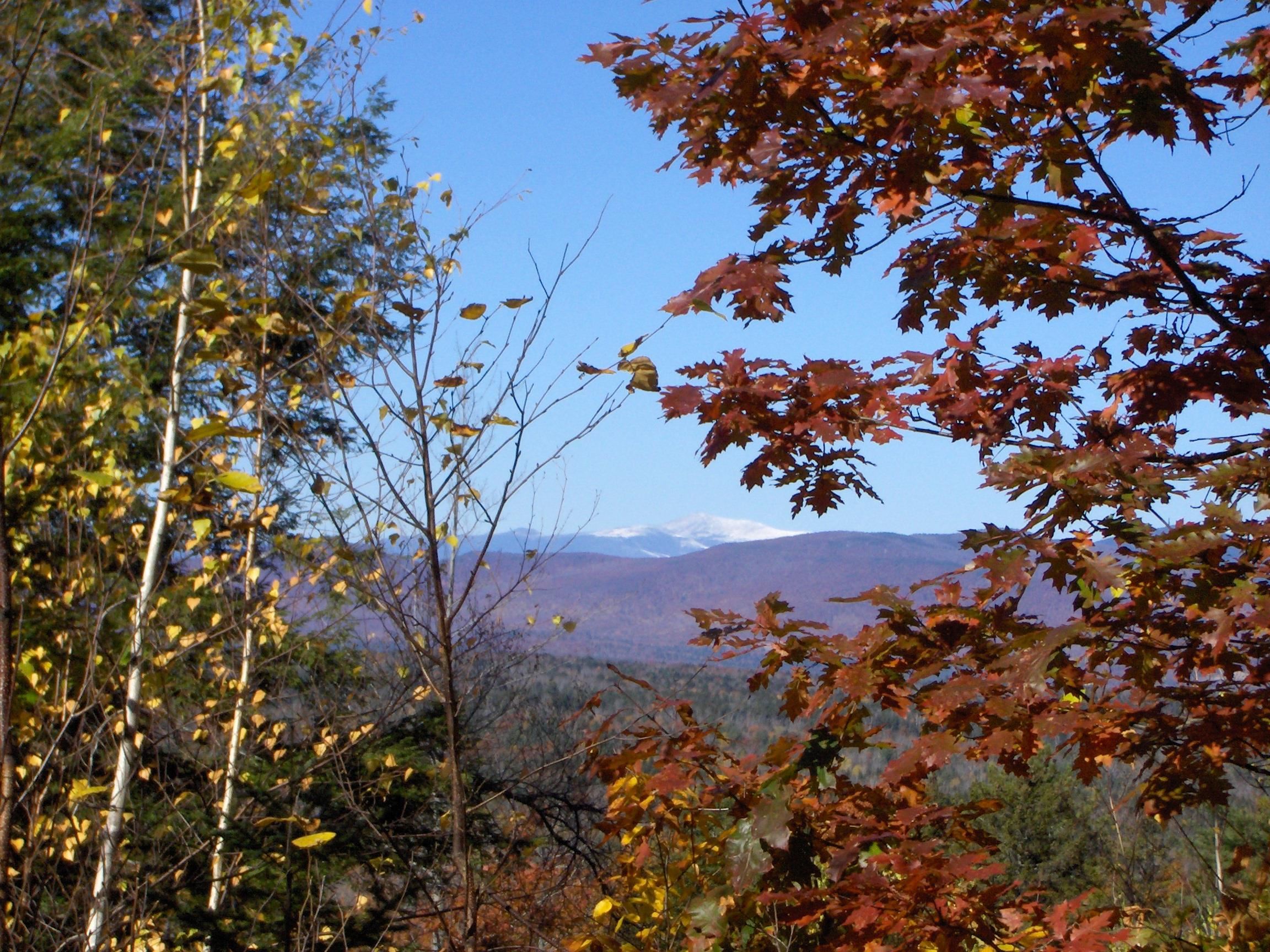 0 Moose Hollow Road Brownfield, ME 04010 - Photo 1 of 27