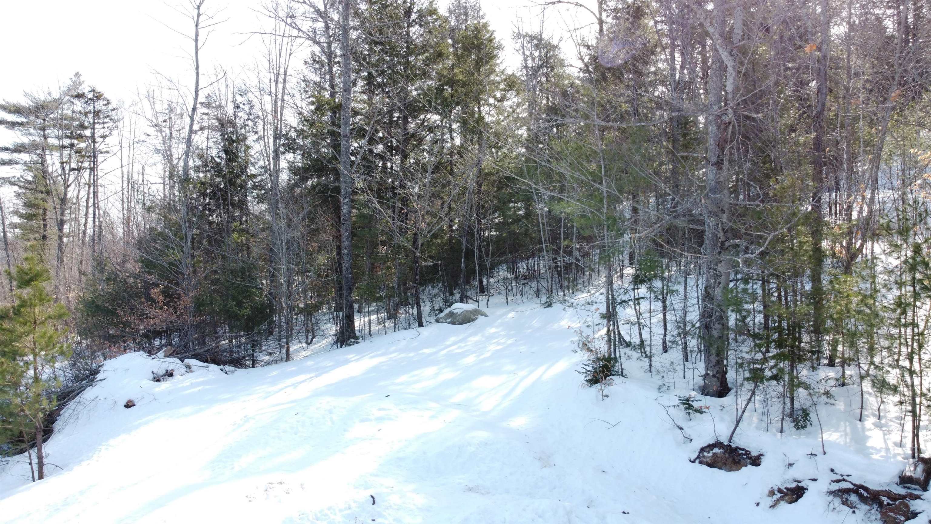 0 Moose Hollow Road Brownfield, ME 04010 - Photo 11 of 27