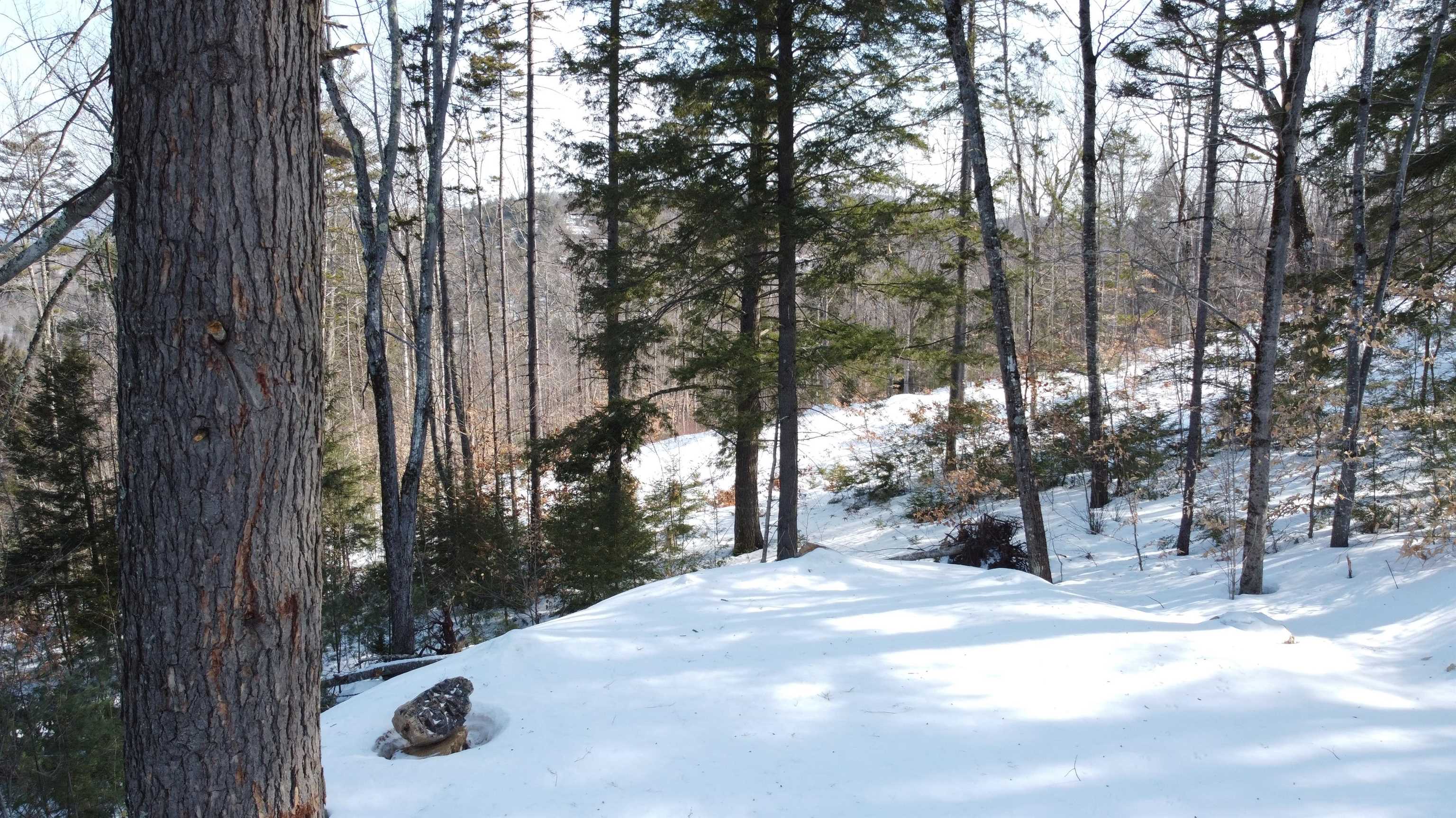 0 Moose Hollow Road Brownfield, ME 04010 - Photo 17 of 27