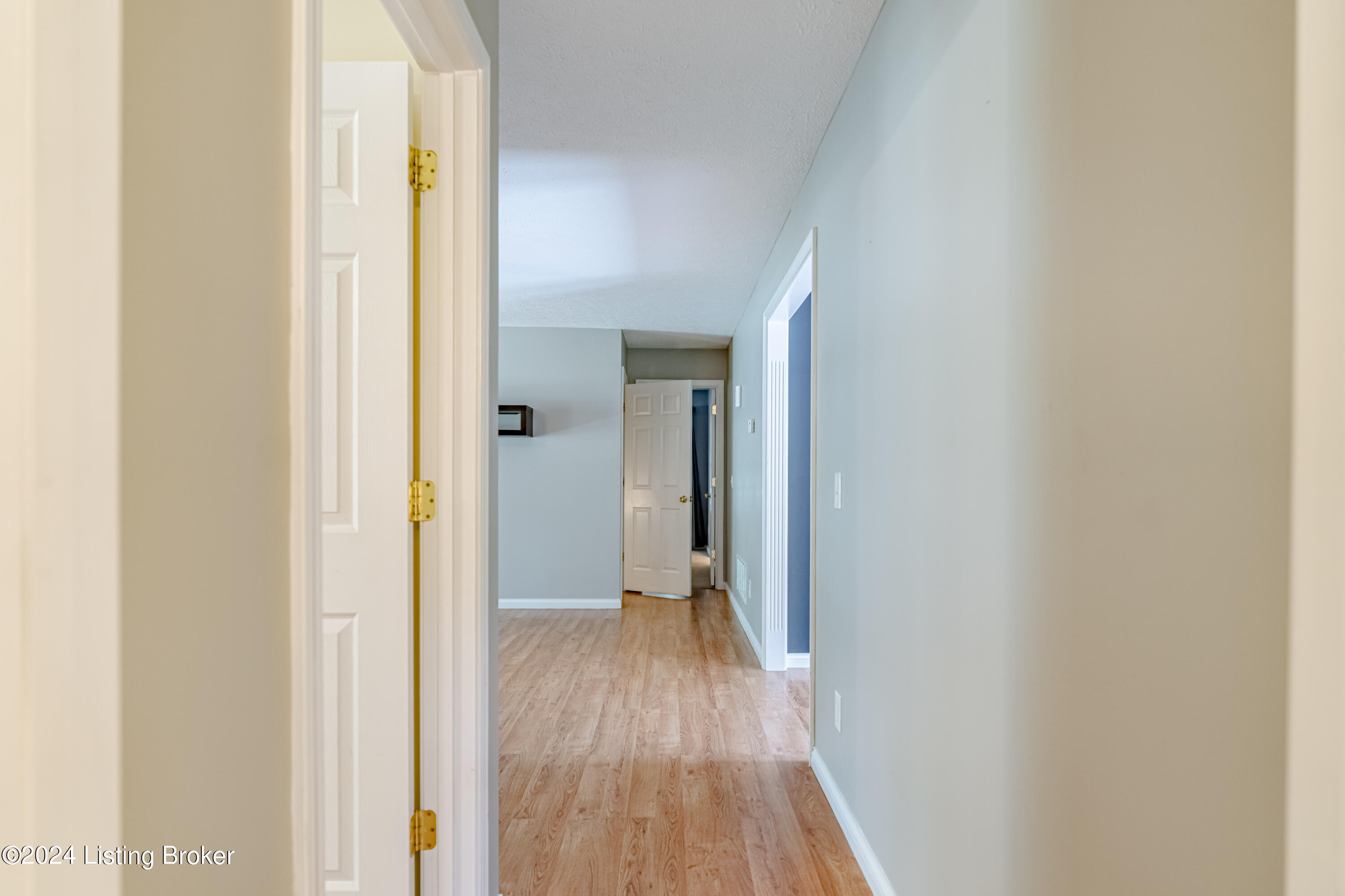 820 Long Needle Road Brandenburg, KY 40108 - Photo 7 of 71 DSC09779