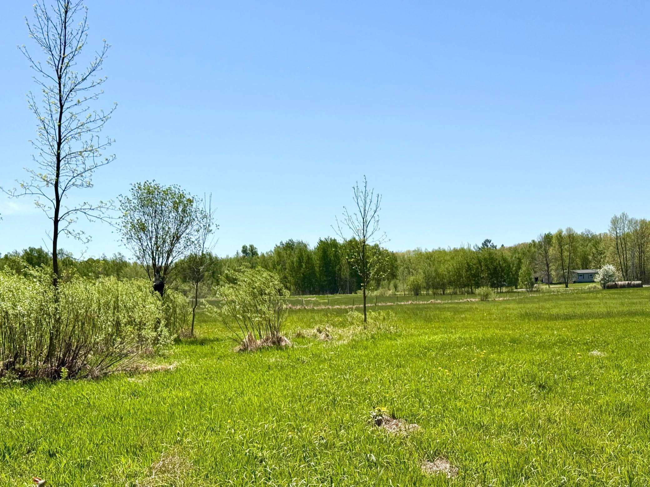Tbd Ivy Road Milaca, MN 56353 - Photo 3 of 24