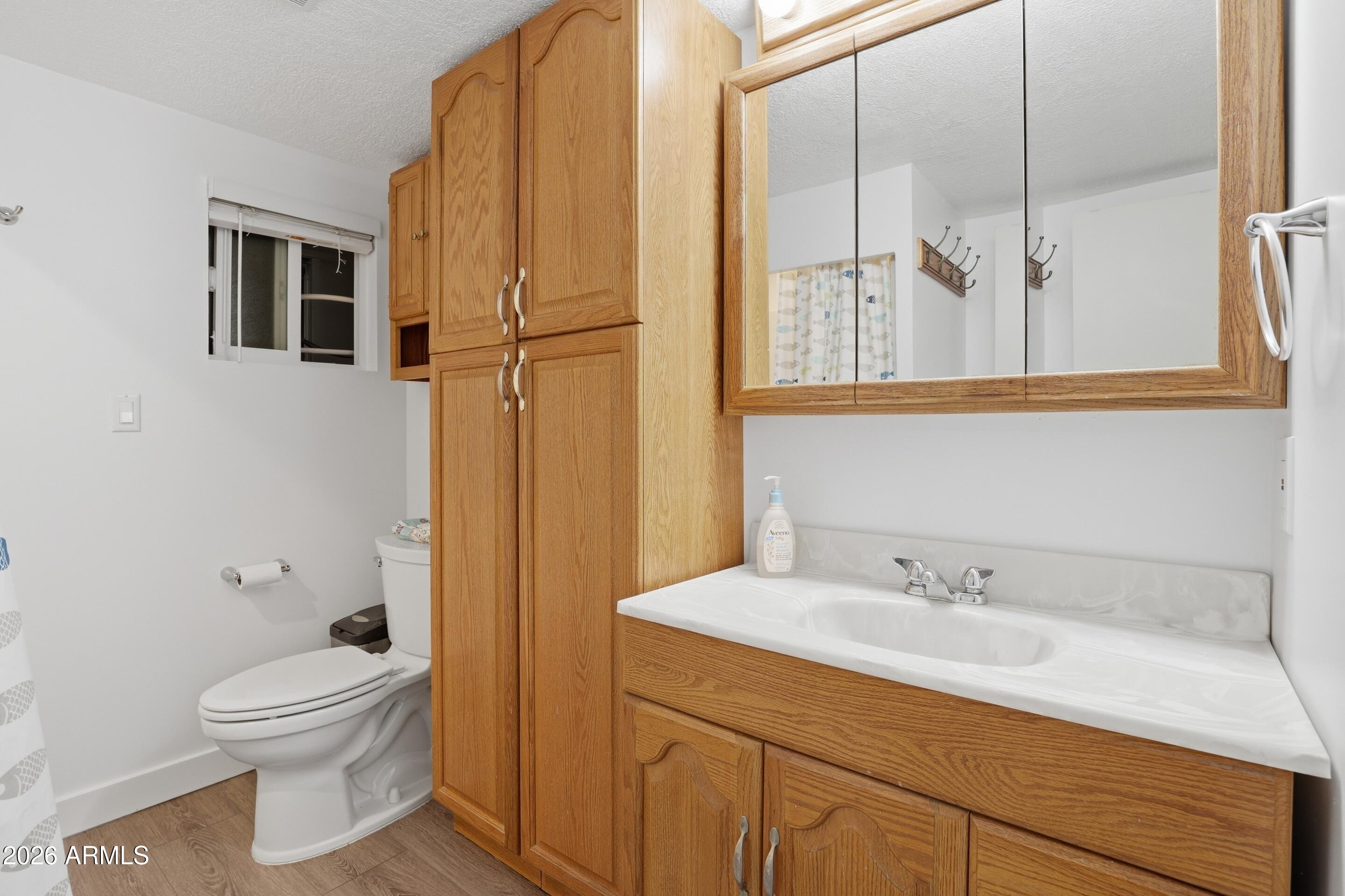 214 Thompson Road Payson, AZ 85541 - Photo 22 of 46 Main Bathroom