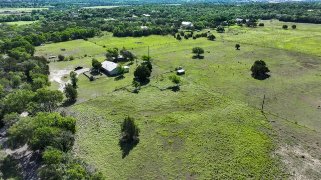 a view of a lush green space