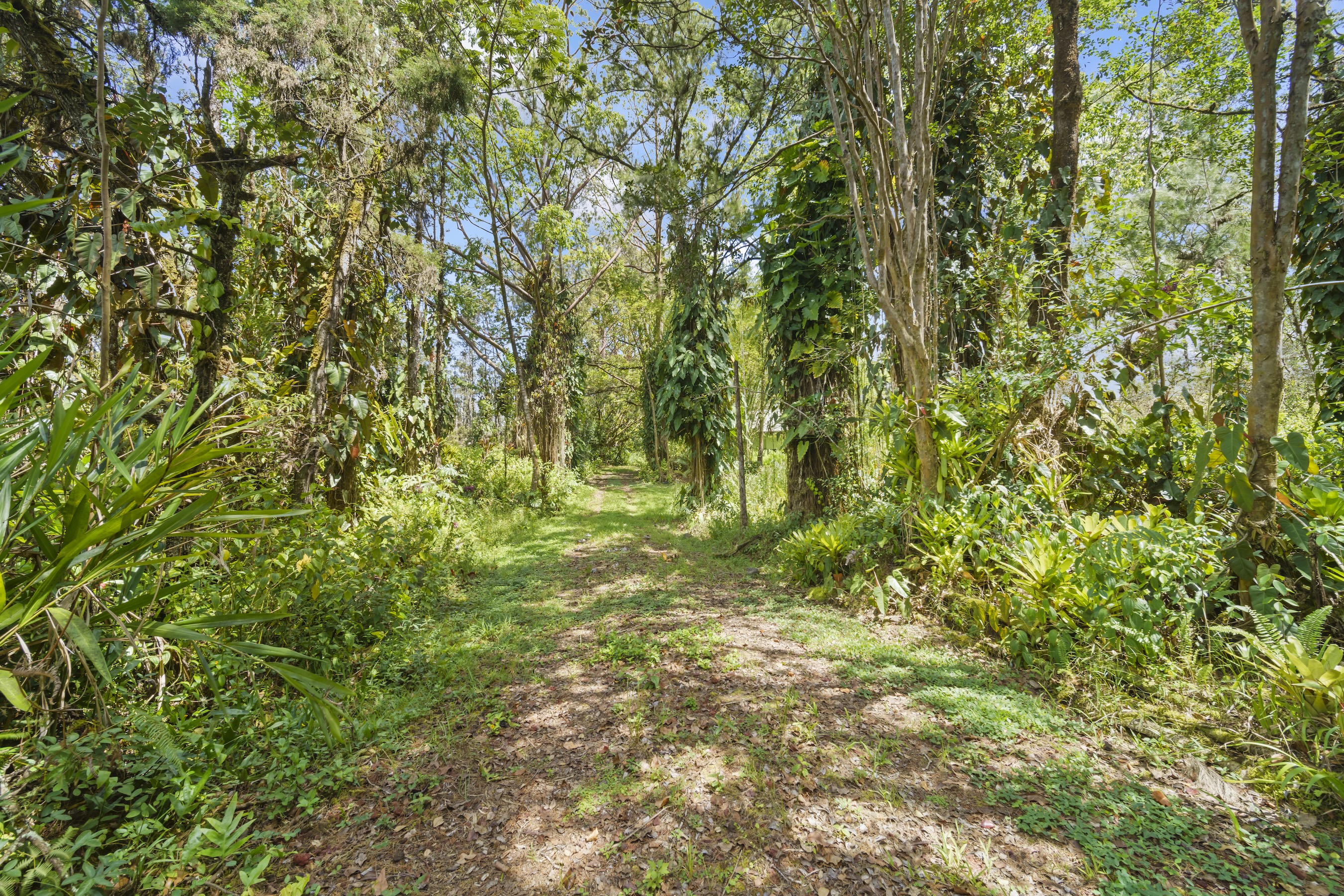 16-1857 Hopue Road Mountain View, HI 96771 - Photo 23 of 30 a view of outdoor space and green space