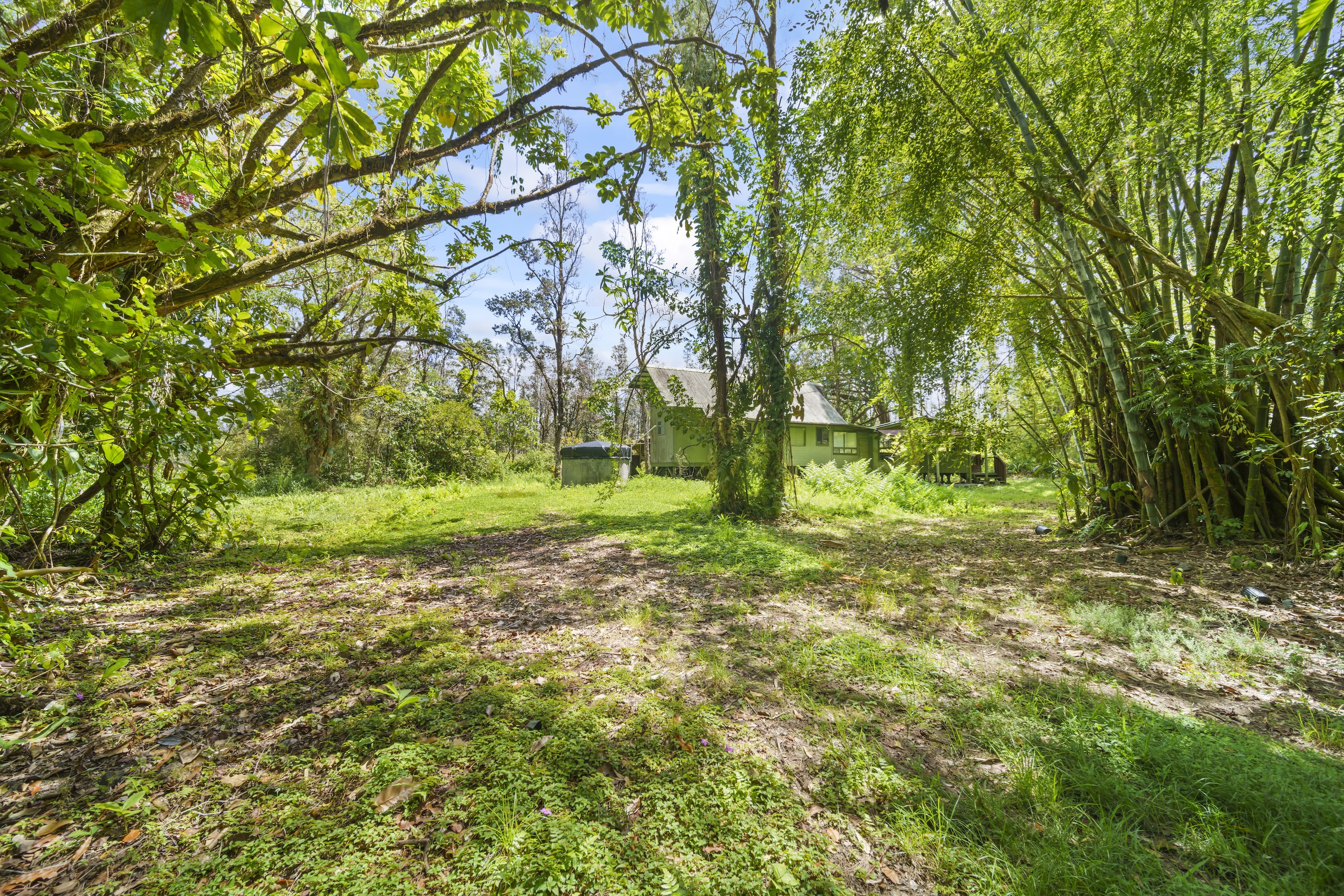 16-1857 Hopue Road Mountain View, HI 96771 - Photo 24 of 30 a view of a yard with plants and trees