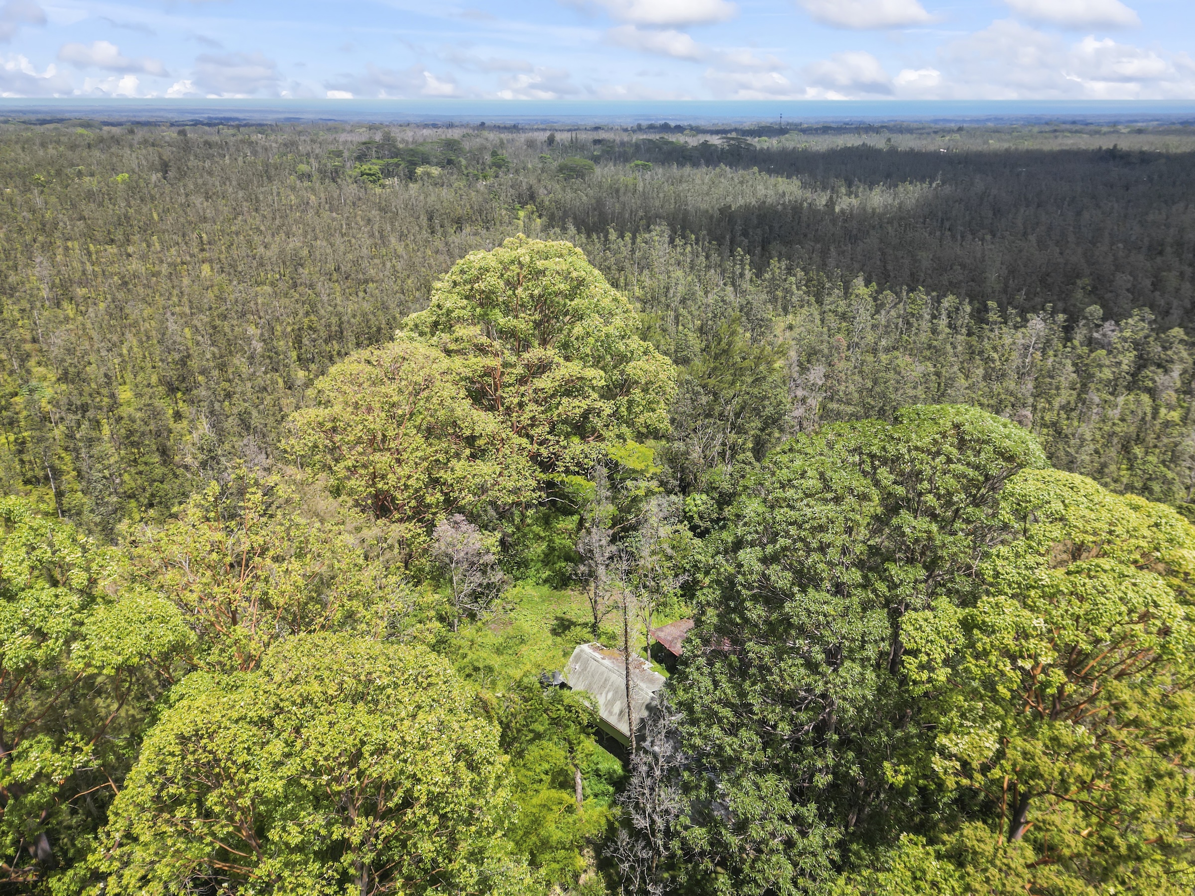 16-1857 Hopue Road Mountain View, HI 96771 - Photo 3 of 30 a view of a lake from a yard