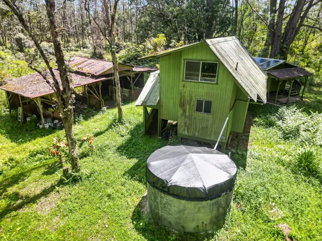 a view of a backyard with plants and a garden