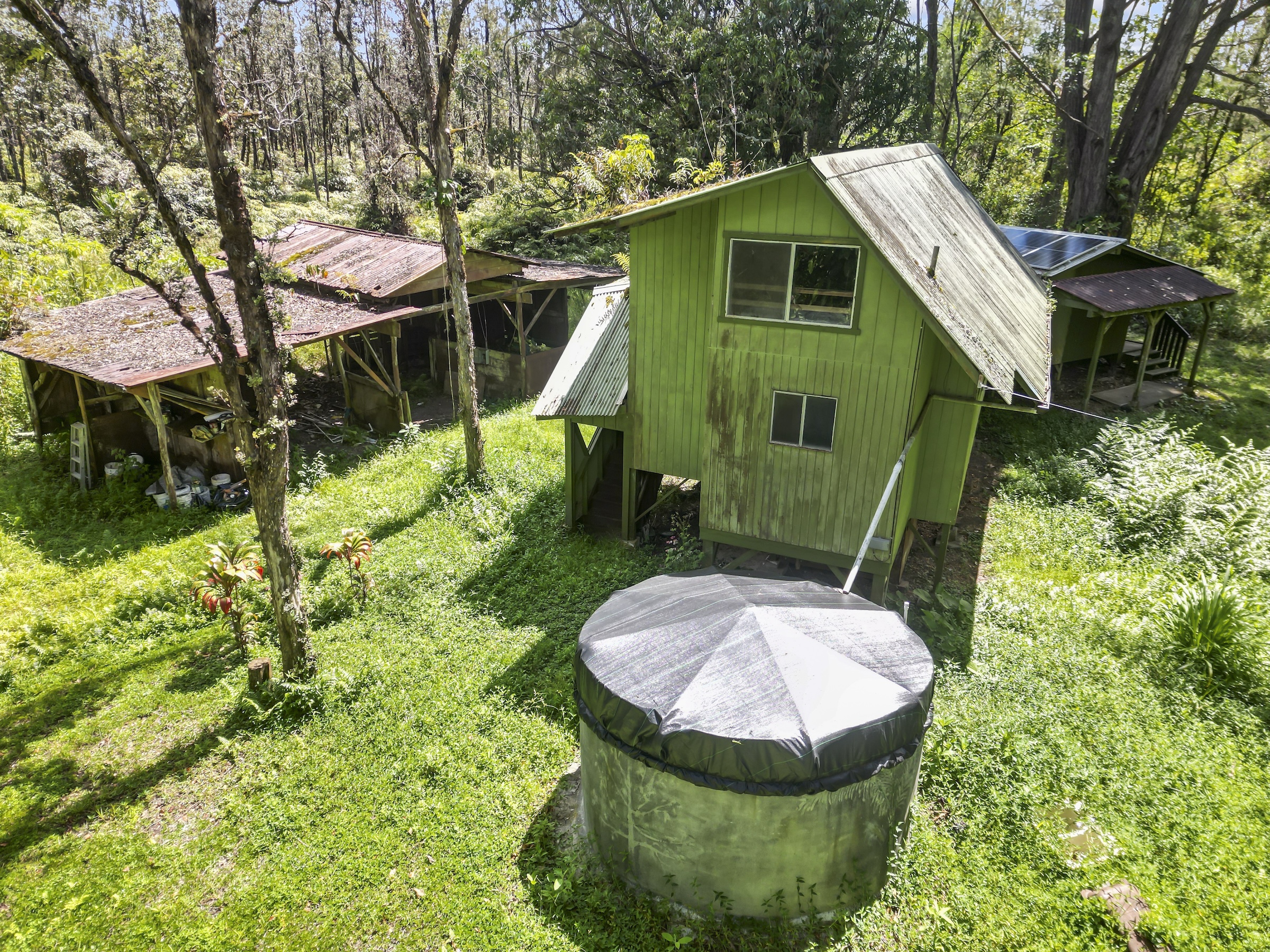 16-1857 Hopue Road Mountain View, HI 96771 - Photo 4 of 30 a view of a backyard with plants and a garden