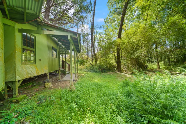 a view of a back yard