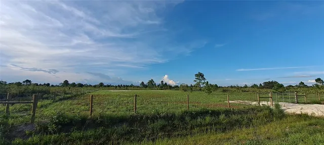 a view of a grassy field with trees
