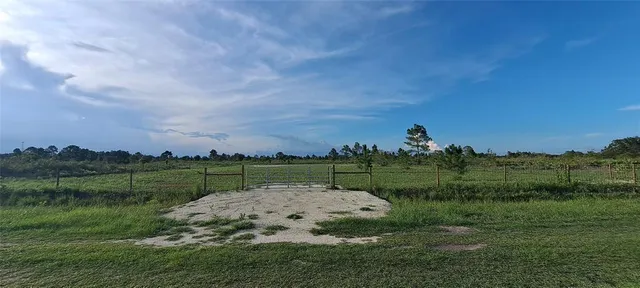 a view of a garden with a lake