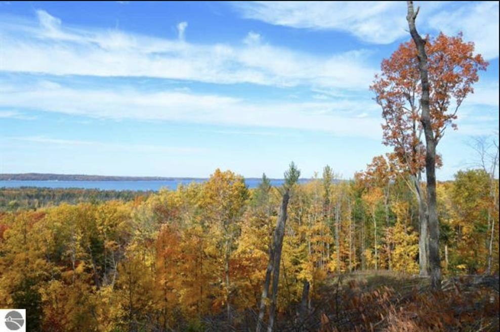 0 5 Five Mile Road Traverse City, MI 49686 - Photo 4 of 6