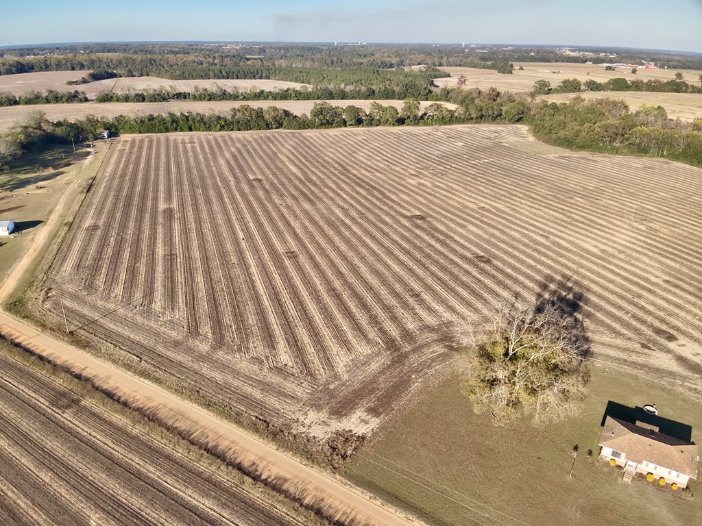 7.57-acres Burdeshaw Road Headland, AL 36345 - Photo 6 of 11