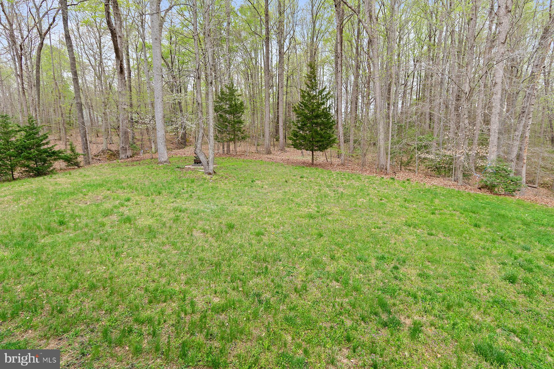 14100 Molly Berry Road Brandywine, MD 20613 - Photo 42 of 42