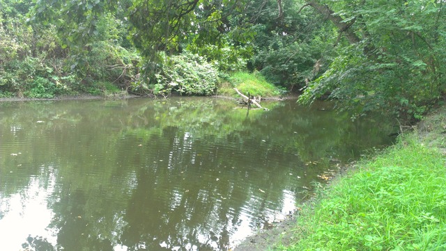 880 East Reed Road Mazon, IL 60444 - Photo 14 of 18 a view of lake from a yard