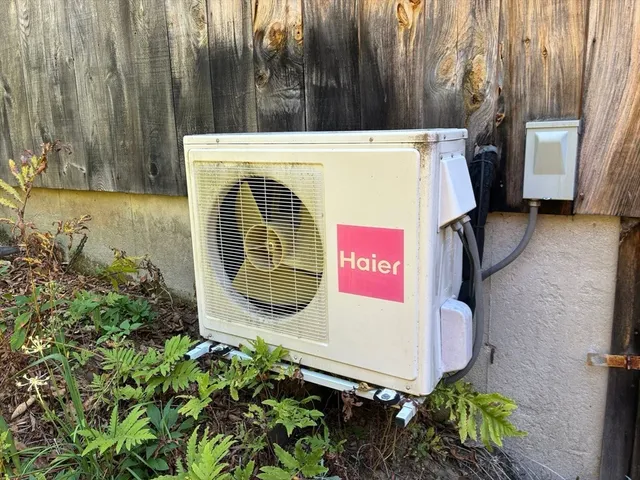a view of a backyard with plants
