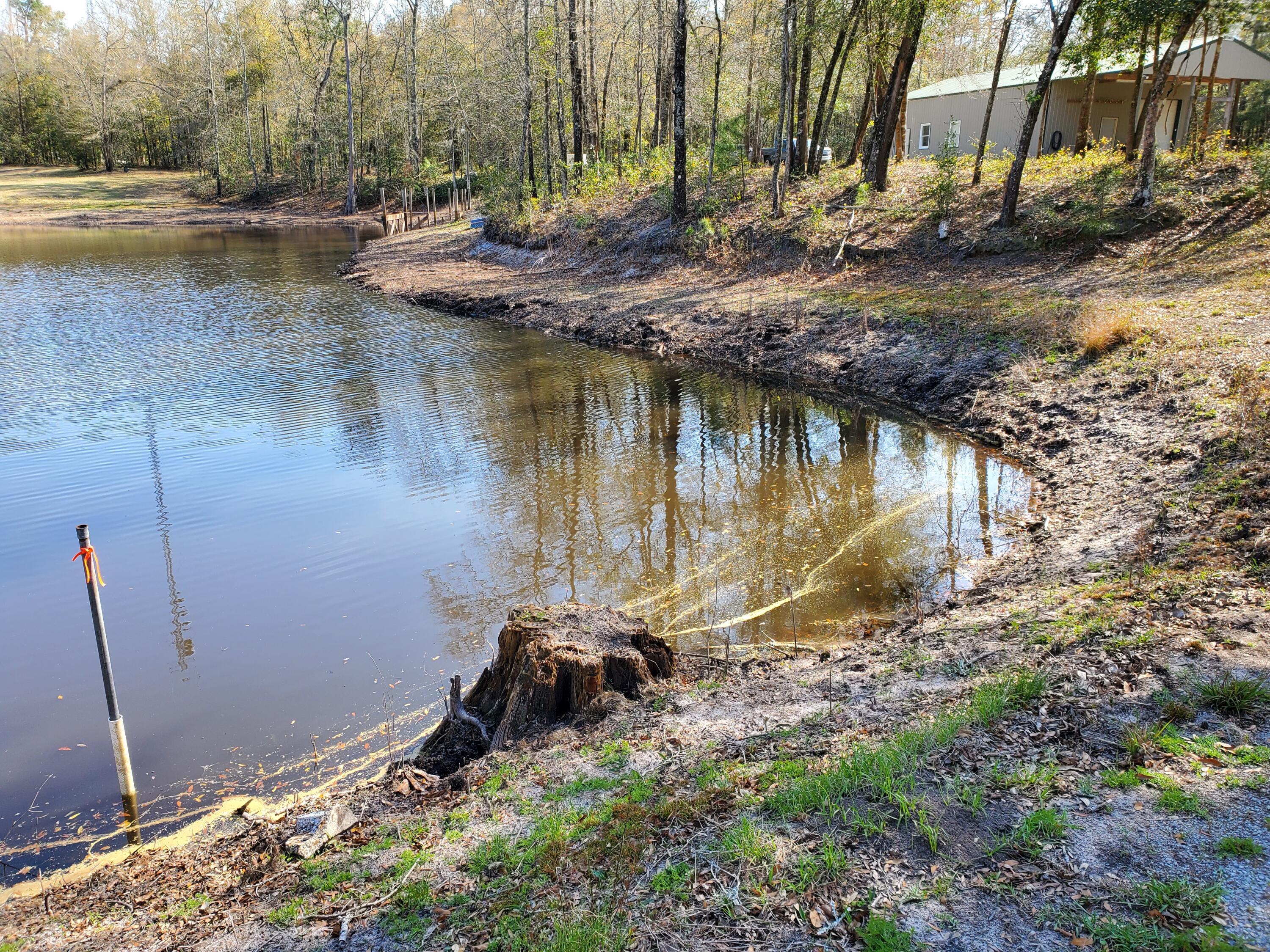 354 Old Cemetery Road Jamestown, SC 29453 - Photo 23 of 25 Pond
