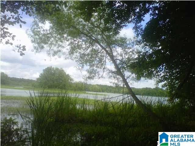 132 Farmstead Road, Unit 1 Wilsonville, AL 35186 - Photo 2 of 3