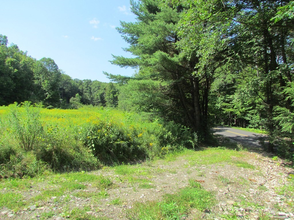 0 Whately Road Conway, MA 01341 - Photo 15 of 15 Gallery Image 15