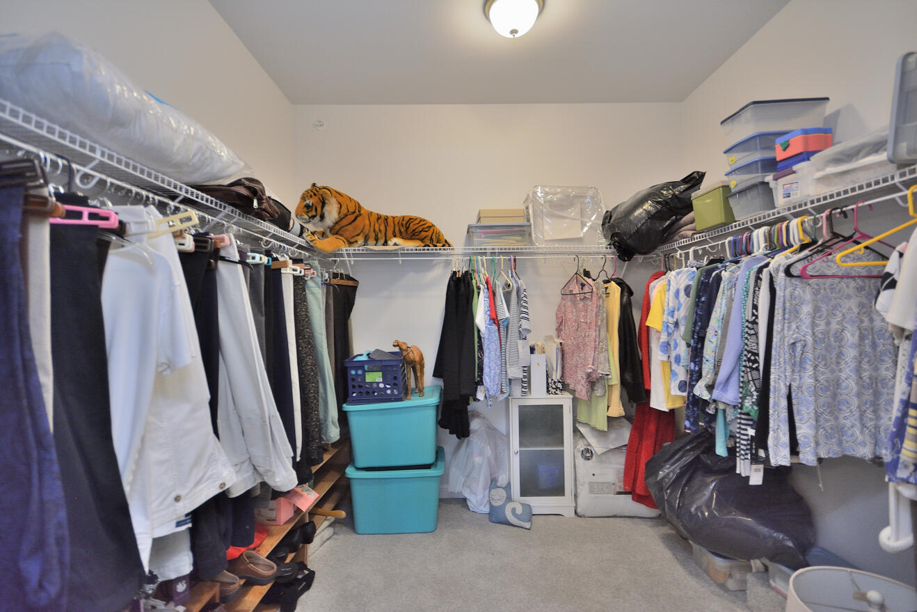 4380 Nighthawk Trail Brookfield, WI 53005 - Photo 29 of 37 Primary closet
