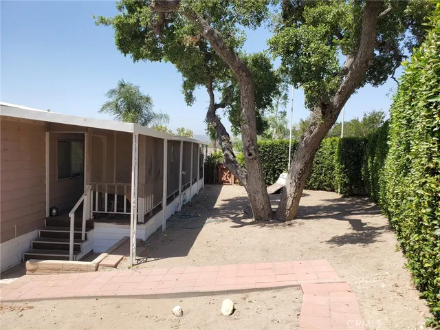 a view of a backyard with a tree