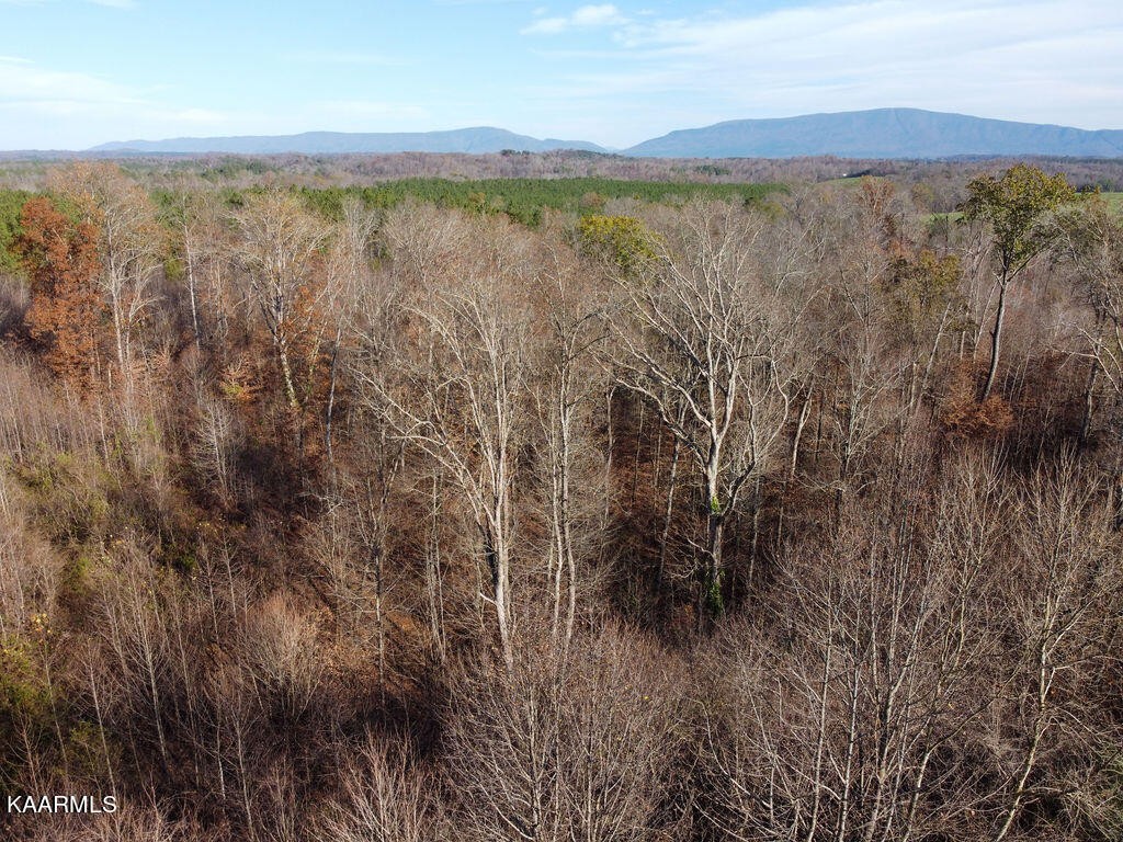 131 Long Ridge Road Calhoun, TN 37309 - Photo 14 of 26 Gallery Image 14