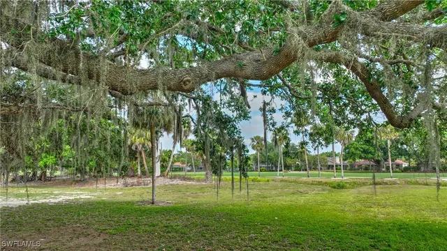 a big yard with lots of green space and plants