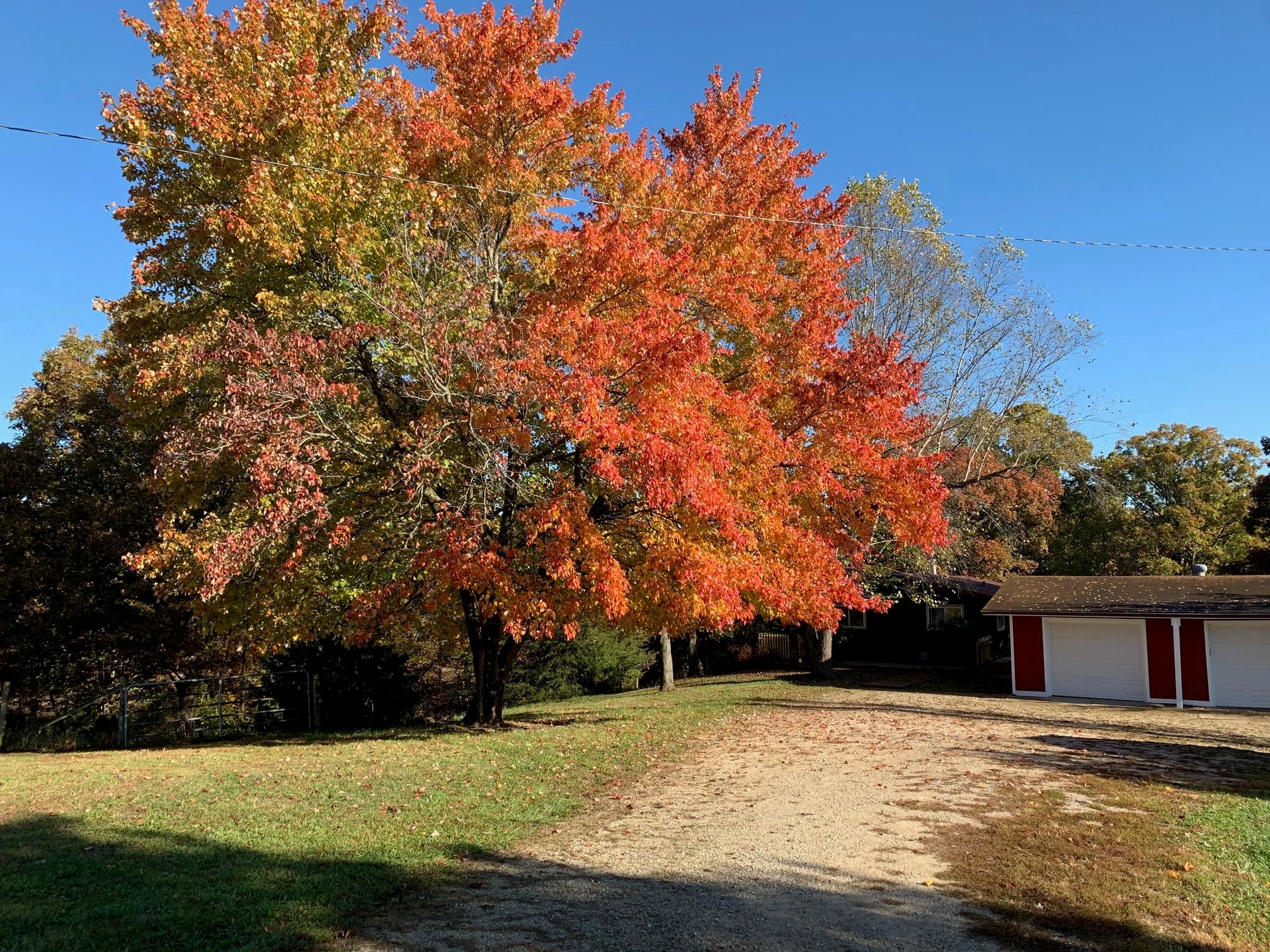 4622 State Rd JJ Fulton, MO 65251 - Photo 1 of 1