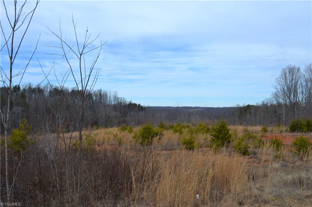 3175 Anglin Mill Road Stoneville, NC 27048 - Photo 2 of 9 Gallery Image 2