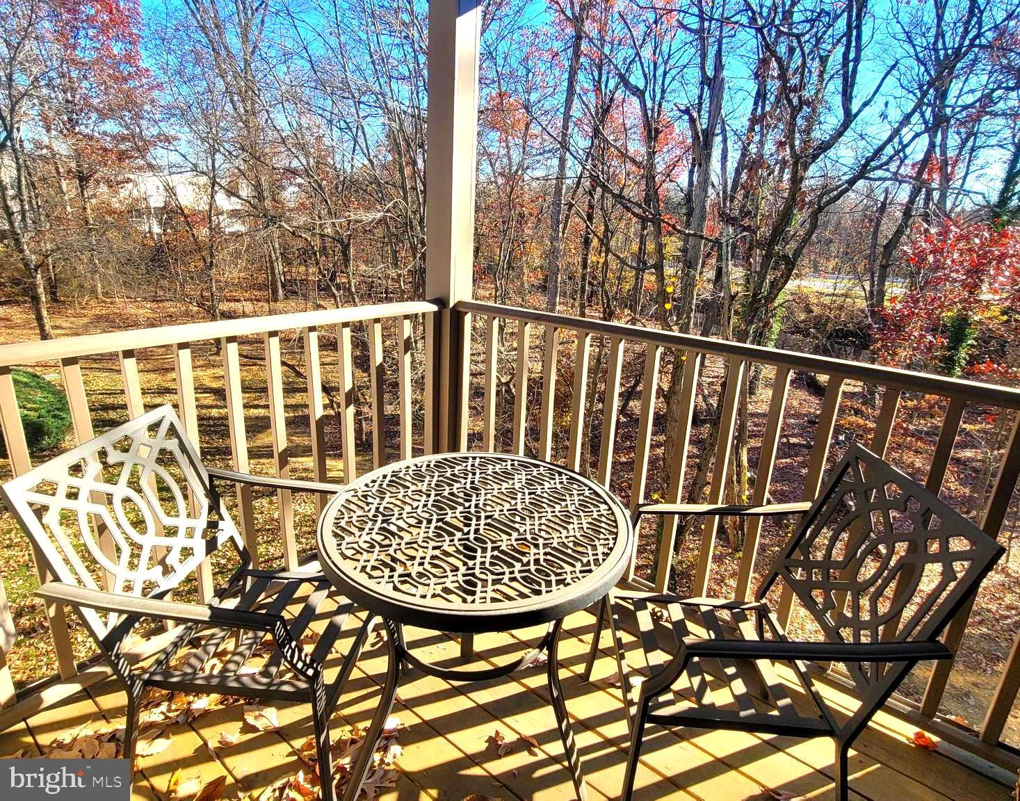 2061 Alice Avenue, Unit 2061303 Oxon Hill, MD 20745 - Photo 6 of 13 a view of entryway