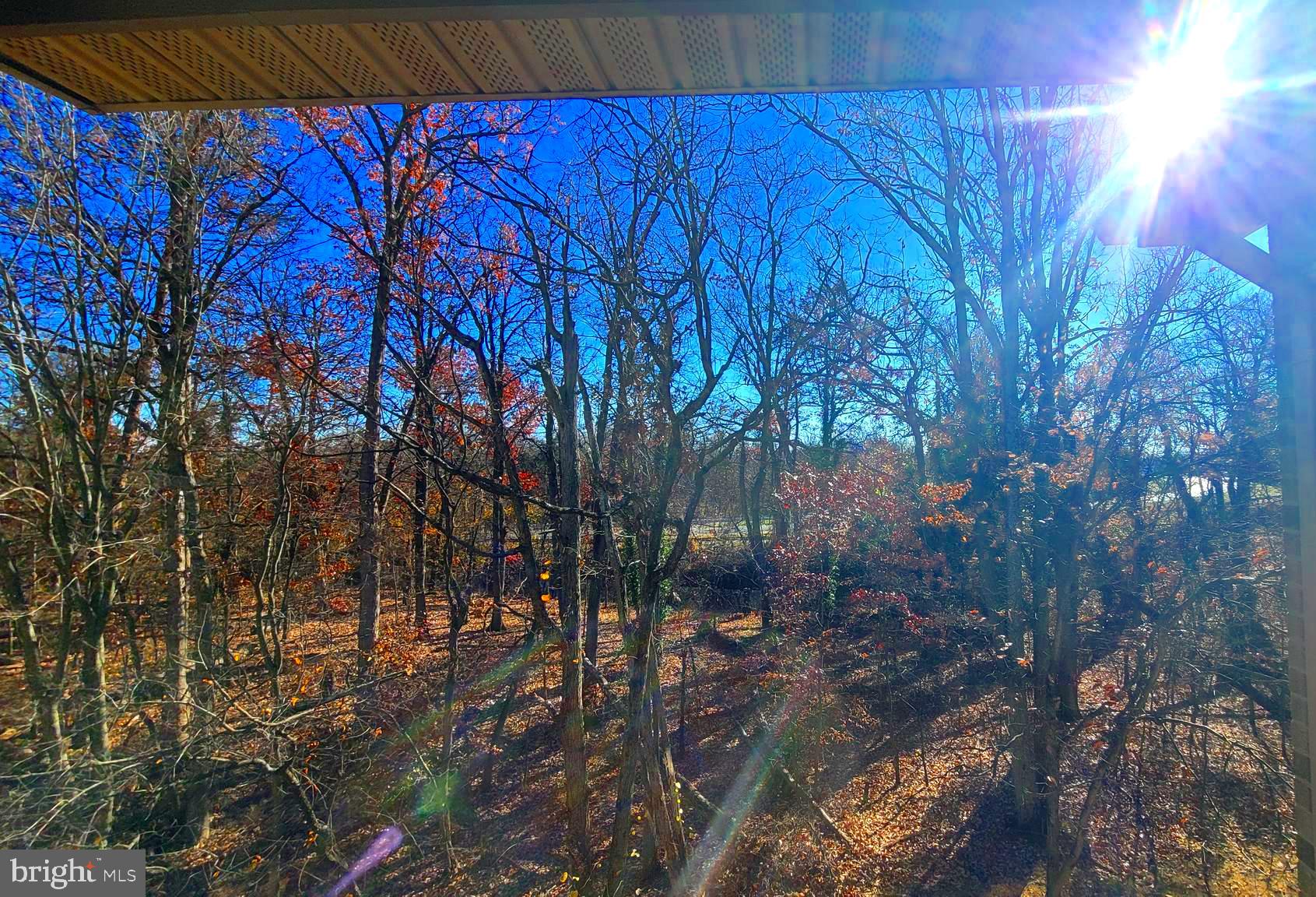 2061 Alice Avenue, Unit 2061303 Oxon Hill, MD 20745 - Photo 7 of 13 a view of a backyard