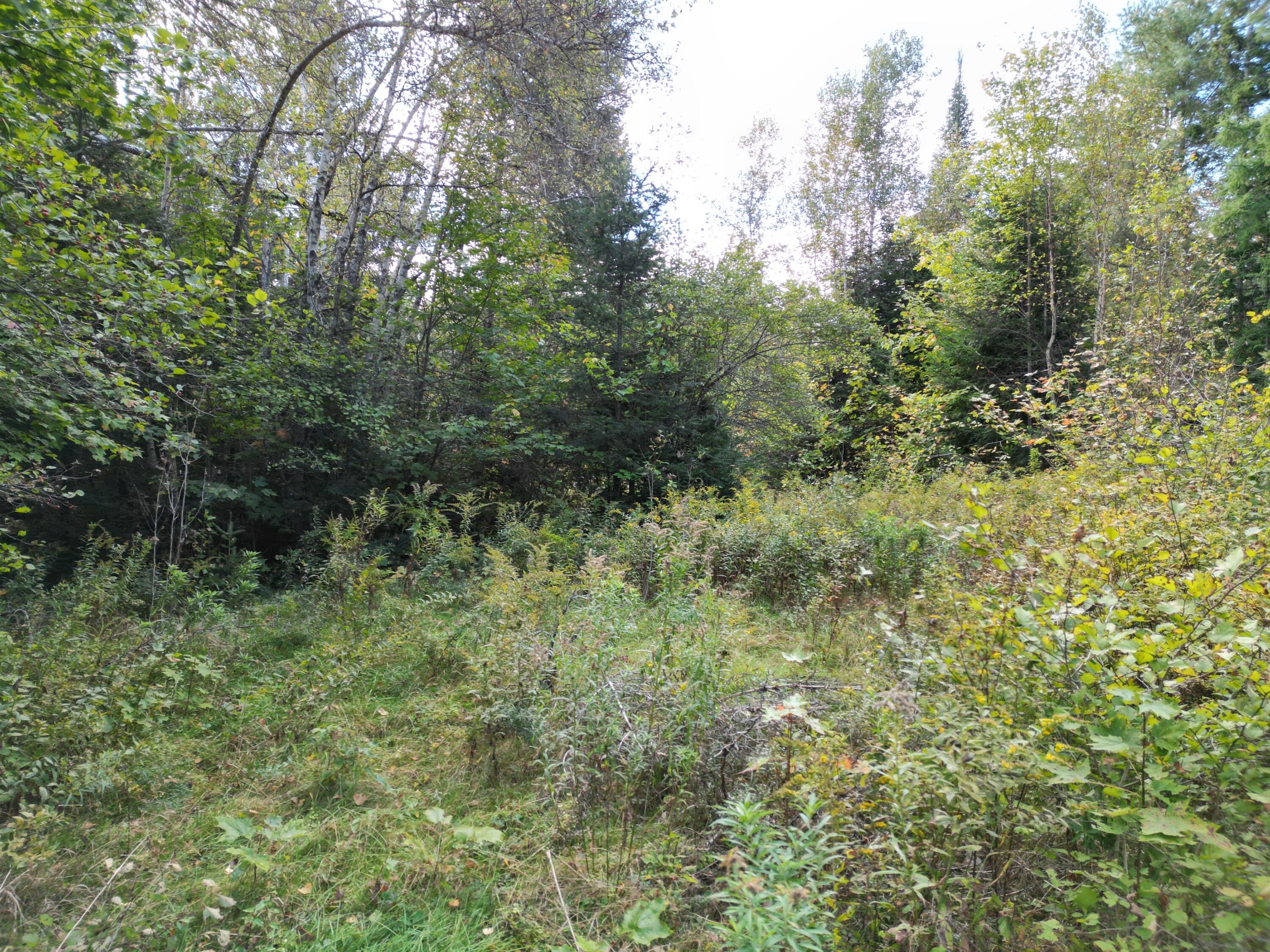 Lot 4 Town Line Road Springfield, ME 04487 - Photo 14 of 15 DJI_0999