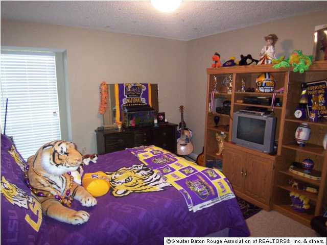 14123 Woodland Ridge Avenue Baton Rouge, LA 70816 - Photo 14 of 16