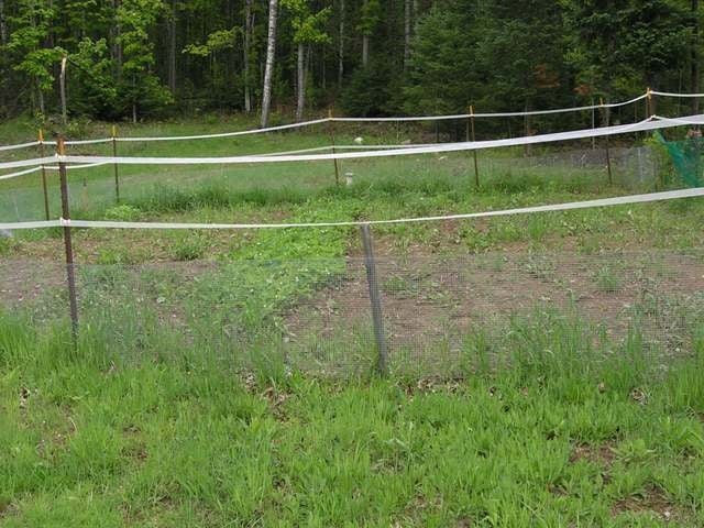 1260 Margaret Lake Road Three Lakes, WI 54562 - Photo 12 of 20 Gallery Image 12
