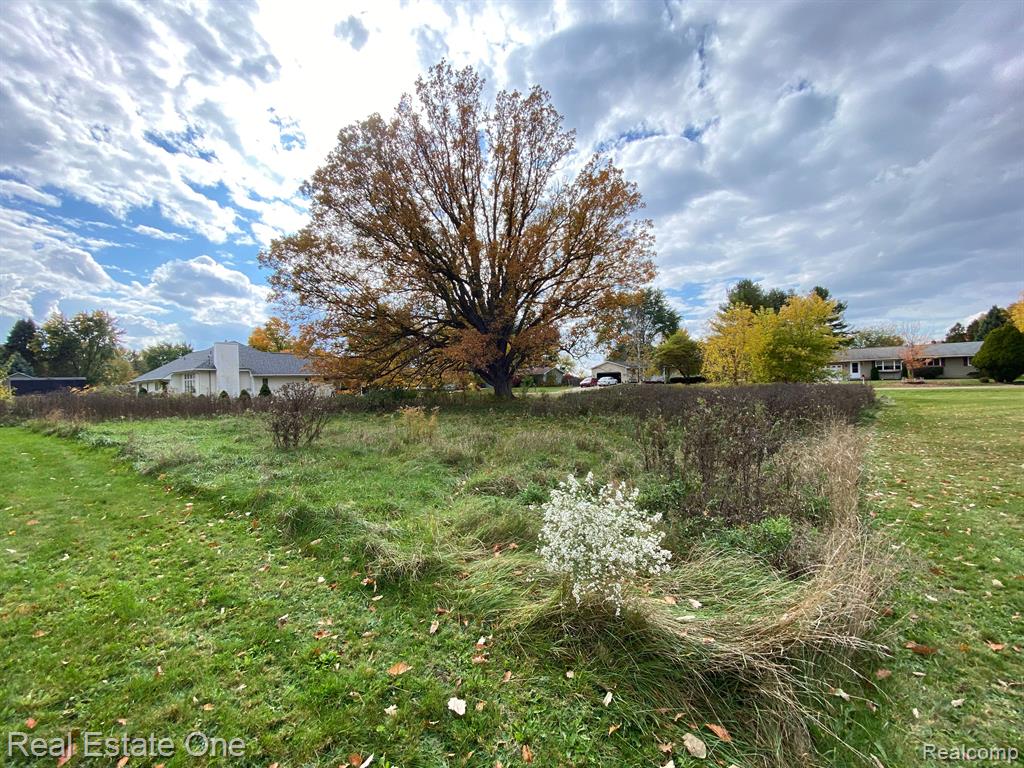 Vl Meadowlawn Road Fowlerville, MI 48836 - Photo 6 of 9