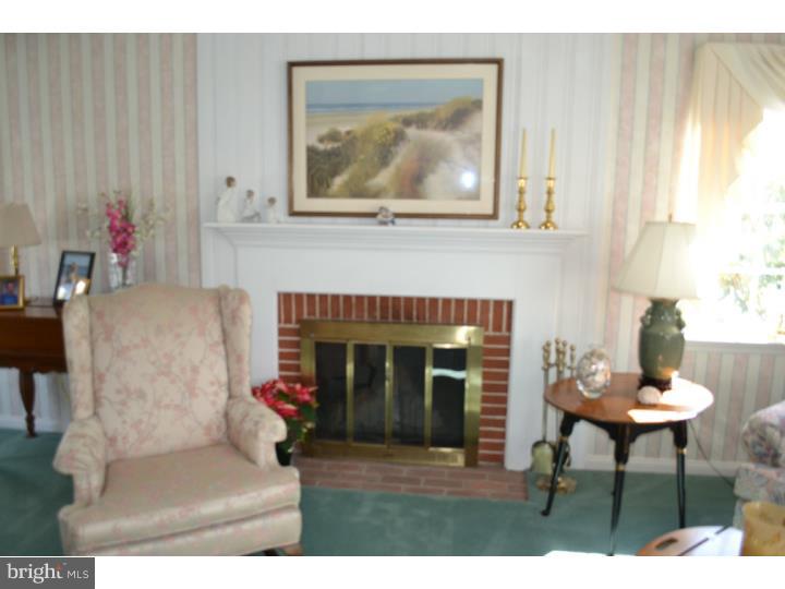 441 Kerr Lane Springfield, PA 19064 - Photo 14 of 19 Fireplace
