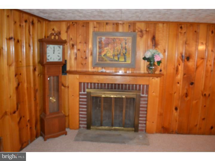 441 Kerr Lane Springfield, PA 19064 - Photo 16 of 19 Fireplace