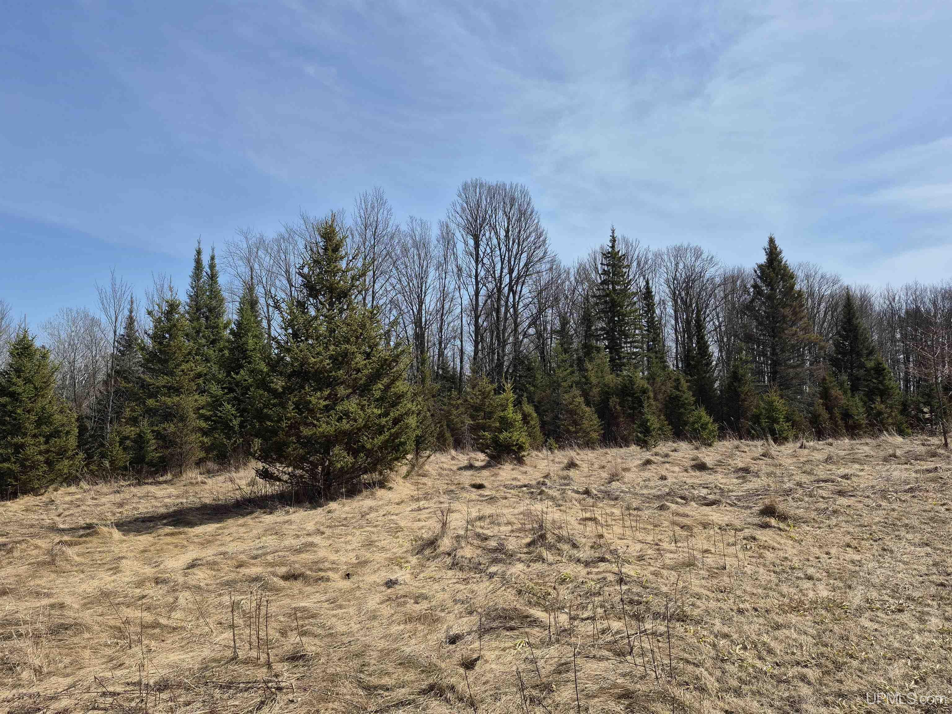 30-acres Turner Road Channing, MI 49815 - Photo 23 of 33