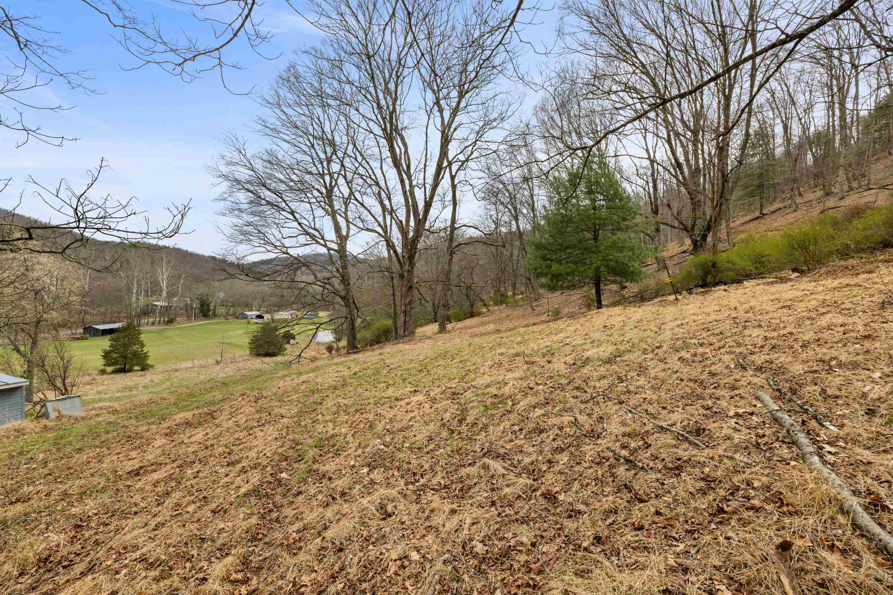 1851 Cullers Run Road Mathias, WV 26812 - Photo 54 of 73