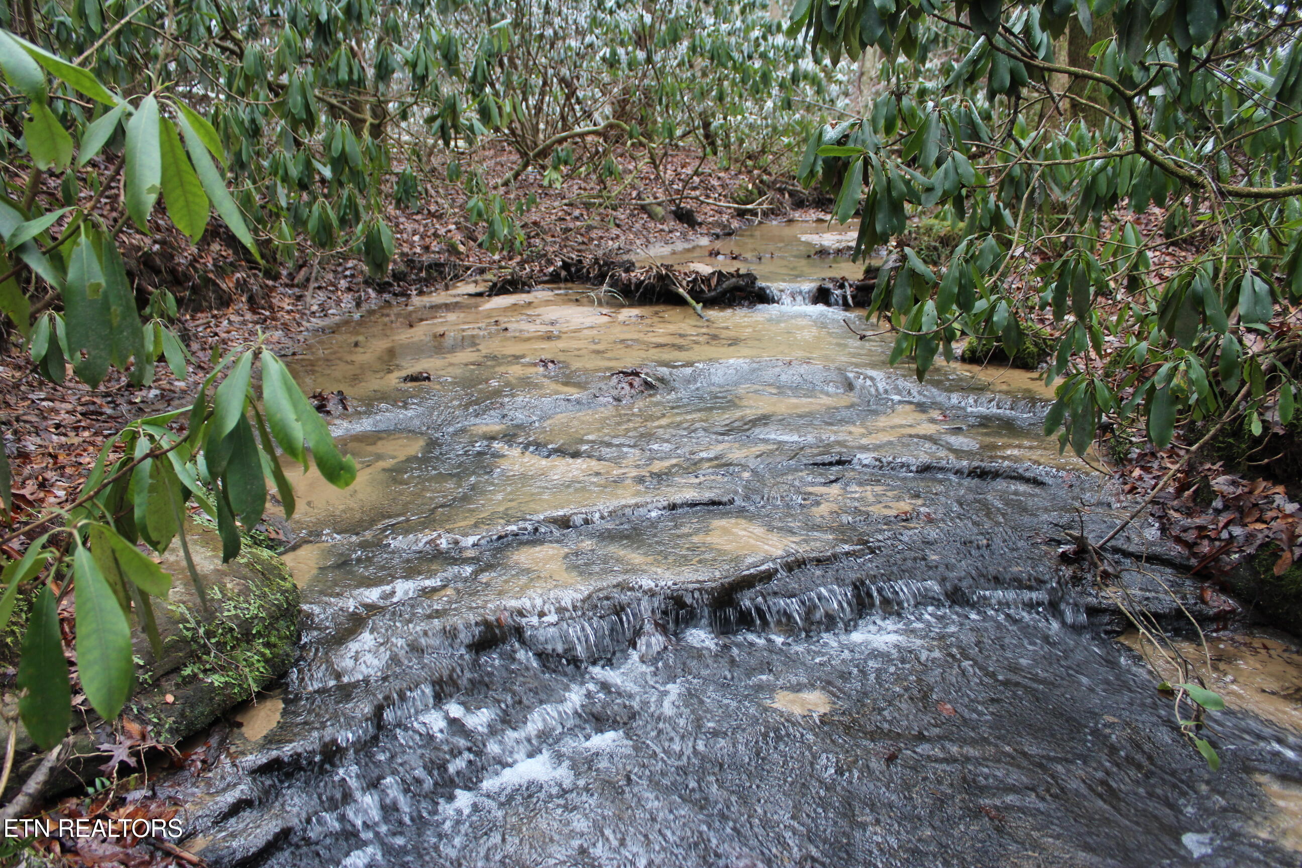 Laurel Road Jamestown, TN 38556 - Photo 20 of 21 IMG_6180