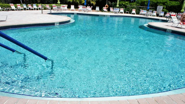a view of swimming pool with lawn chairs and plants