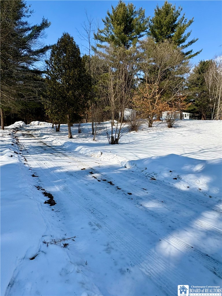 6070 Wiery Road Chautauqua, NY 14757 - Photo 2 of 48